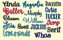 Load image into Gallery viewer, Font options, fonts and thread colors, DO NOT PURCHASE, for viewing purposes only!